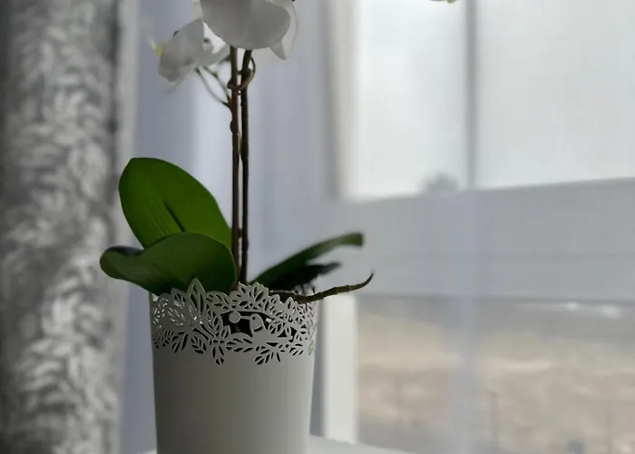 Premium - Orchidea - Self Check-in - Parking * Rzeszów